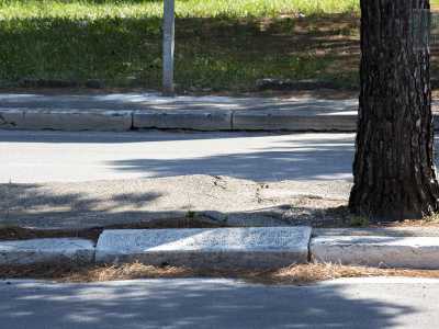 ...le cui radici hanno letteralmente squarciato pezzi di asfalto e sollevato diverse mattonelle del marciapiede. Proprio la presenza di questi alberi avrebbe bloccato il progetto di tracciare una pista ciclabile su questa strada